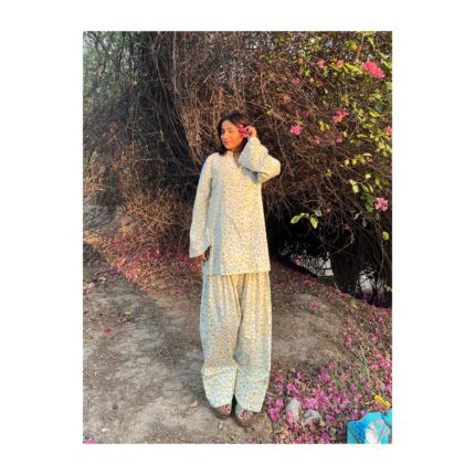 Zara Farshi set